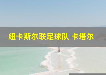 纽卡斯尔联足球队 卡塔尔